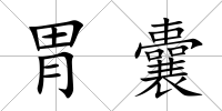 胃囊