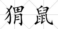 猬鼠