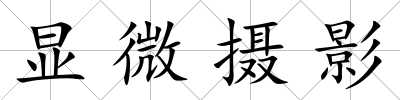 顯微攝影