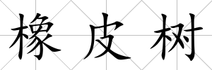 橡皮樹