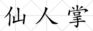 仙人掌