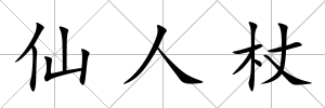仙人杖