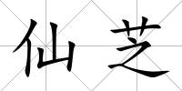 仙芝
