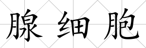 腺細胞