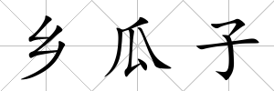 鄉(xiāng)瓜子