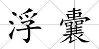 浮囊