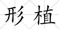形植