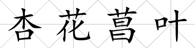 杏花菖葉
