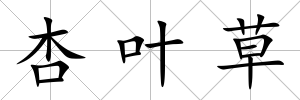 杏葉草