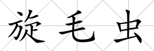 旋毛蟲