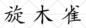 旋木雀