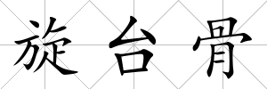 旋臺骨