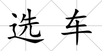 選車