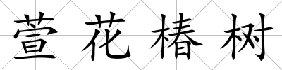 萱花椿樹