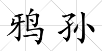 鴉孫