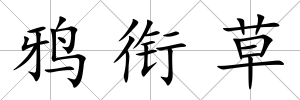 鴉銜草