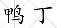 鴨丁
