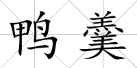 鴨羹