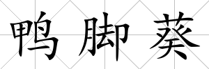 鴨腳葵