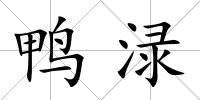 鴨淥