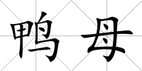 鴨母