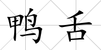 鴨舌