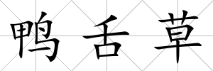 鴨舌草