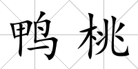 鴨桃