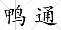 鴨通