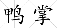 鴨掌