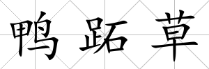 鴨跖草