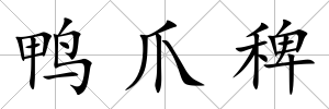 鴨爪稗