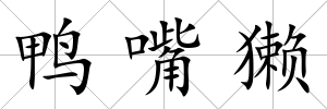 鴨嘴獺