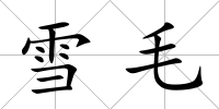 雪毛