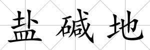 鹽堿地