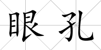 眼孔