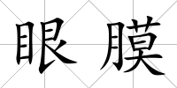 眼膜