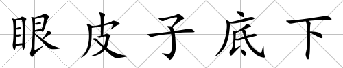 眼皮子底下