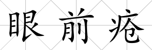 眼前瘡