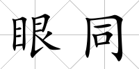 眼同
