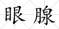眼腺