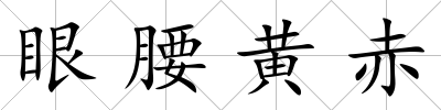 眼腰黃赤
