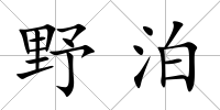 野泊