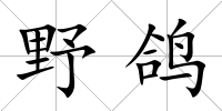野鴿