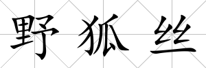 野狐絲