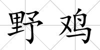 野雞