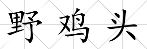 野雞頭