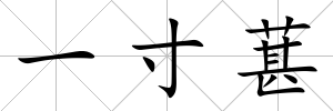 一寸葚