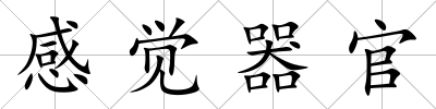 感覺器官