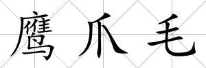 鷹爪毛